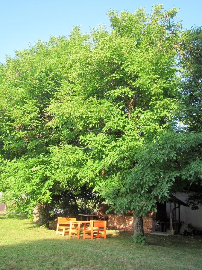 Pod Orehi Bed & Breakfast โพสโตยนา ภายนอก รูปภาพ